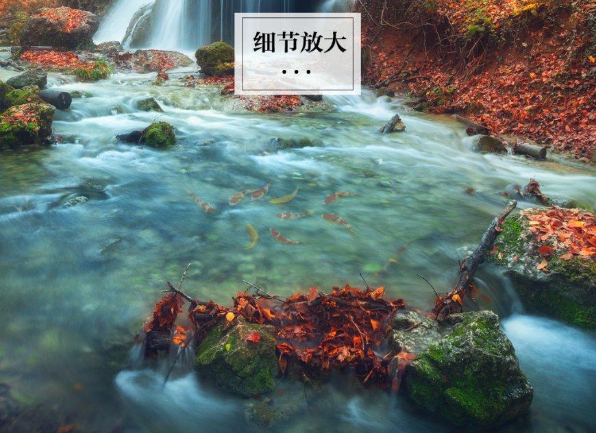 你会去参加前任的婚礼吗?-探索兴趣的红迪网